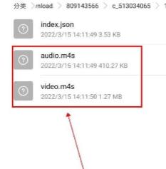 哔哩哔哩怎么下载的视频保存到本地 哔哩哔哩下载的视频保存到本地的操作方法